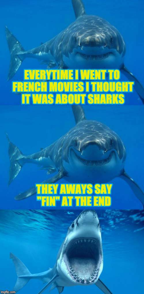 Bad Shark Pun  | EVERYTIME I WENT TO FRENCH MOVIES I THOUGHT IT WAS ABOUT SHARKS THEY AWAYS SAY "FIN" AT THE END | image tagged in bad shark pun | made w/ Imgflip meme maker