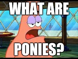 WHAT ARE; PONIES? | image tagged in dumb patrick | made w/ Imgflip meme maker