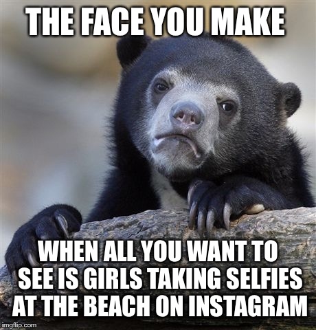 It's sad...but I want to laugh and see half naked women...no more political memes | THE FACE YOU MAKE; WHEN ALL YOU WANT TO SEE IS GIRLS TAKING SELFIES AT THE BEACH ON INSTAGRAM | image tagged in memes,confession bear | made w/ Imgflip meme maker