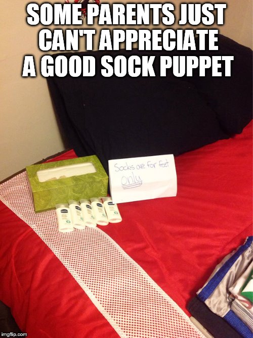 SOME PARENTS JUST CAN'T APPRECIATE A GOOD SOCK PUPPET | image tagged in memes | made w/ Imgflip meme maker