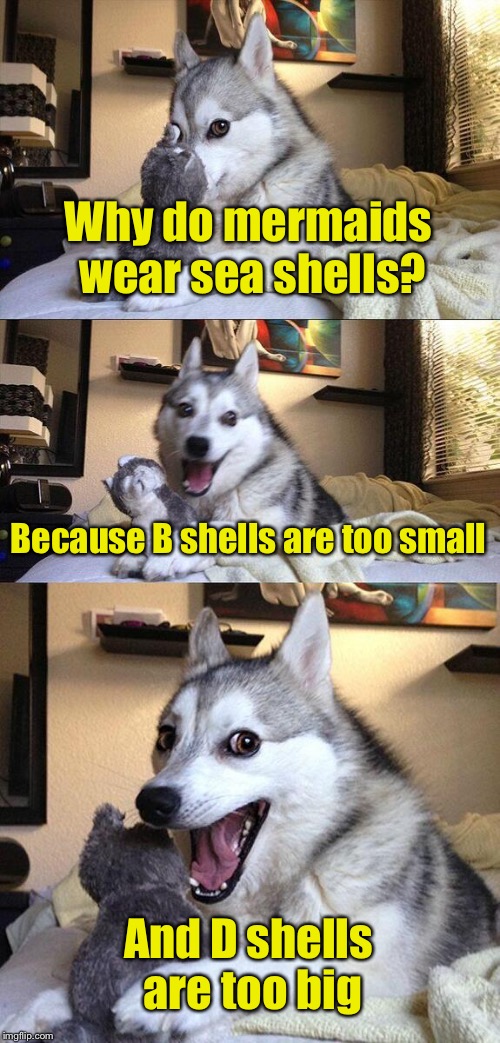 Bad Pun Dog | Why do mermaids wear sea shells? Because B shells are too small; And D shells are too big | image tagged in memes,bad pun dog | made w/ Imgflip meme maker