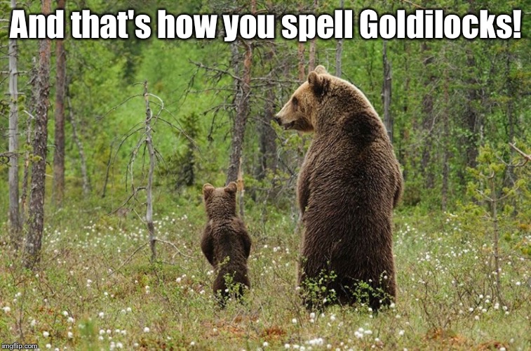 In the Woods | And that's how you spell Goldilocks! | image tagged in no buildings,a bear in the woods,teaching,traditions | made w/ Imgflip meme maker