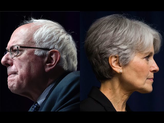 High Quality Bernie Sanders & Jill Stein Blank Meme Template