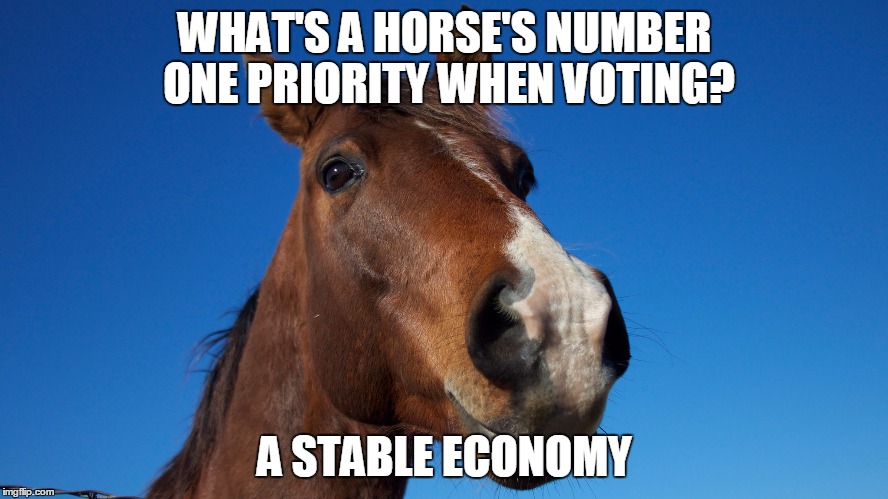 Horse's Priorities | WHAT'S A HORSE'S NUMBER ONE PRIORITY WHEN VOTING? A STABLE ECONOMY | image tagged in horse,pun,voting,politics | made w/ Imgflip meme maker