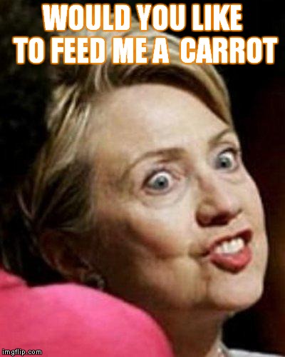 Hillary Clinton Fish | WOULD YOU LIKE TO FEED ME A  CARROT | image tagged in hillary clinton fish | made w/ Imgflip meme maker