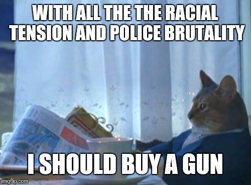 I Should Buy A Boat Cat Meme | WITH ALL THE THE RACIAL TENSION AND POLICE BRUTALITY; I SHOULD BUY A GUN | image tagged in memes,i should buy a boat cat | made w/ Imgflip meme maker
