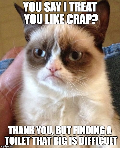 Grumpy Cat Meme | YOU SAY I TREAT YOU LIKE CRAP? THANK YOU, BUT FINDING A TOILET THAT BIG IS DIFFICULT | image tagged in memes,grumpy cat | made w/ Imgflip meme maker