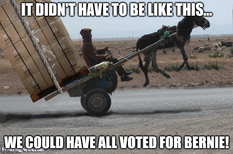 perfectly balanced | IT DIDN'T HAVE TO BE LIKE THIS... WE COULD HAVE ALL VOTED FOR BERNIE! | image tagged in donkey,bernie | made w/ Imgflip meme maker