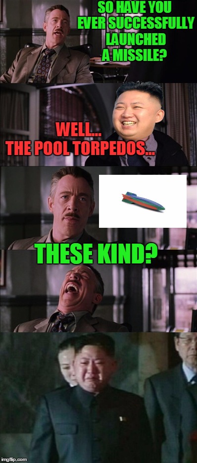 SO HAVE YOU EVER SUCCESSFULLY LAUNCHED A MISSILE? WELL... THE POOL TORPEDOS... THESE KIND? | made w/ Imgflip meme maker