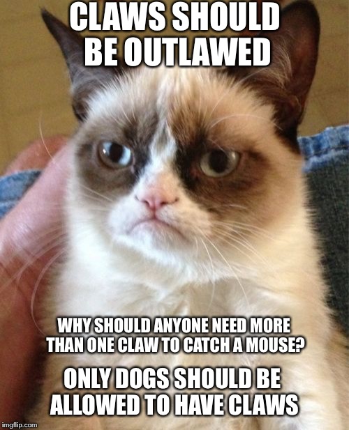 Grumpy Cat Meme | CLAWS SHOULD BE OUTLAWED WHY SHOULD ANYONE NEED MORE THAN ONE CLAW TO CATCH A MOUSE? ONLY DOGS SHOULD BE ALLOWED TO HAVE CLAWS | image tagged in memes,grumpy cat | made w/ Imgflip meme maker