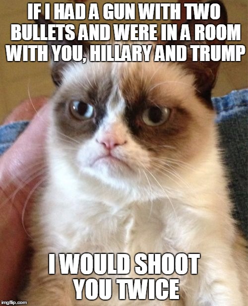 Grumpy Cat Meme | IF I HAD A GUN WITH TWO BULLETS AND WERE IN A ROOM WITH YOU, HILLARY AND TRUMP; I WOULD SHOOT YOU TWICE | image tagged in memes,grumpy cat | made w/ Imgflip meme maker