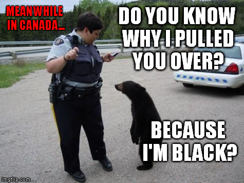 Meanwhile In Canada... | MEANWHILE IN CANADA... DO YOU KNOW WHY I PULLED YOU OVER? BECAUSE I'M BLACK? | image tagged in meme,funny,meanwhile in canada,profile,bear,rcmp | made w/ Imgflip meme maker