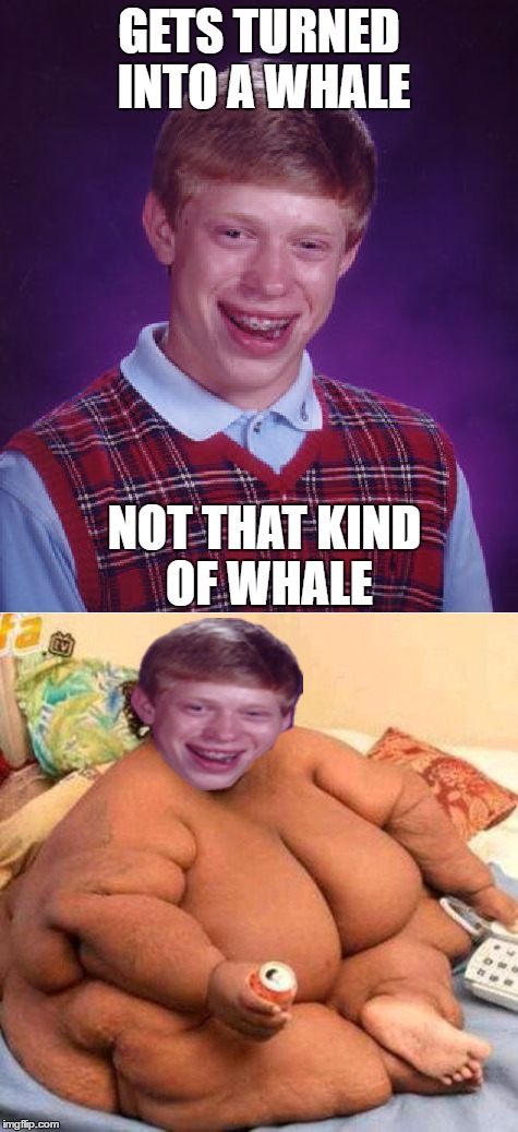 GETS TURNED INTO A WHALE NOT THAT KIND OF WHALE | made w/ Imgflip meme maker