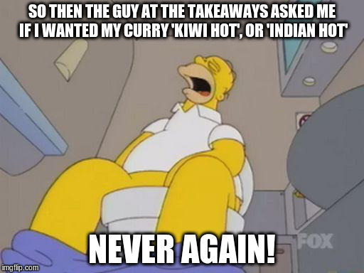 Best curry I'd ever had... until the day after..... | SO THEN THE GUY AT THE TAKEAWAYS ASKED ME IF I WANTED MY CURRY 'KIWI HOT', OR 'INDIAN HOT'; NEVER AGAIN! | image tagged in homer simpson toilet hot bottom burning curry | made w/ Imgflip meme maker