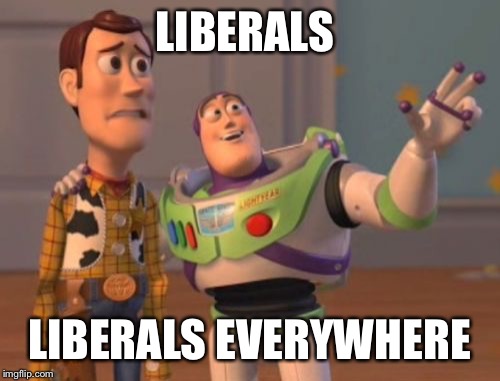 this is meant to be a joke | LIBERALS; LIBERALS EVERYWHERE | image tagged in memes,x x everywhere | made w/ Imgflip meme maker