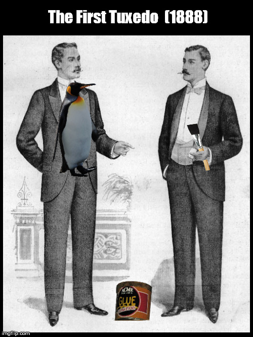 The First Tuxedo? | image tagged in first tuxedo,tuxedo,penguin,funny,memes,johnny carson karnak carnak | made w/ Imgflip meme maker