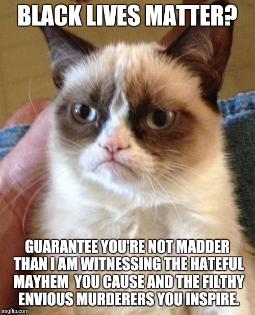 Grumpy Cat Meme | BLACK LIVES MATTER? GUARANTEE YOU'RE NOT MADDER THAN I AM WITNESSING THE HATEFUL MAYHEM  YOU CAUSE AND THE FILTHY ENVIOUS MURDERERS YOU INSPIRE. | image tagged in memes,grumpy cat | made w/ Imgflip meme maker