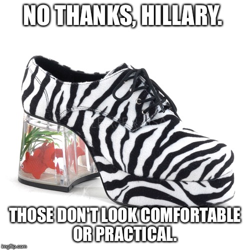 Hill Dog says walk in their shoes | NO THANKS, HILLARY. THOSE DON'T LOOK COMFORTABLE OR PRACTICAL. | image tagged in hillary clinton,blm | made w/ Imgflip meme maker