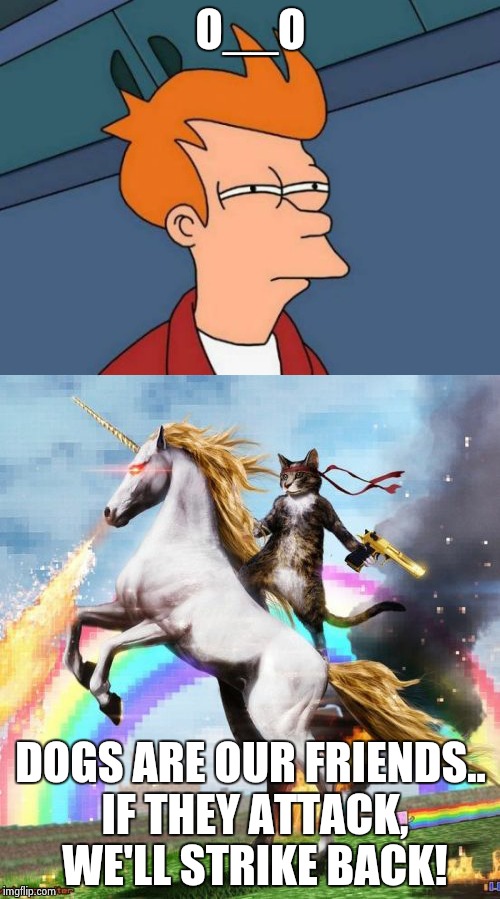 CATS LIKE DOGS?!?! | O__O; DOGS ARE OUR FRIENDS.. IF THEY ATTACK, WE'LL STRIKE BACK! | image tagged in cats like dogs,cat warrior,cats,dogs | made w/ Imgflip meme maker