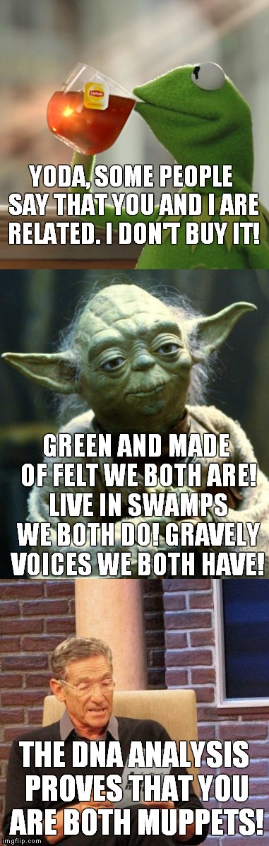 Both multi-billionaires? | YODA, SOME PEOPLE SAY THAT YOU AND I ARE RELATED. I DON'T BUY IT! GREEN AND MADE OF FELT WE BOTH ARE! LIVE IN SWAMPS WE BOTH DO! GRAVELY VOICES WE BOTH HAVE! THE DNA ANALYSIS PROVES THAT YOU ARE BOTH MUPPETS! | image tagged in kermit,yoda,maury | made w/ Imgflip meme maker
