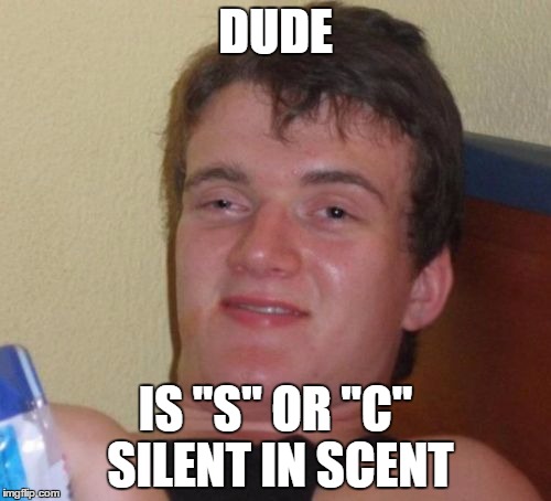 10 Guy Meme | DUDE; IS "S" OR "C" SILENT IN SCENT | image tagged in memes,10 guy | made w/ Imgflip meme maker