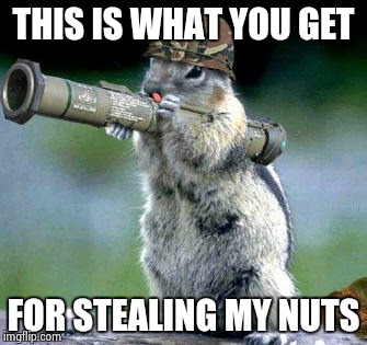 Bazooka Squirrel Meme | THIS IS WHAT YOU GET; FOR STEALING MY NUTS | image tagged in memes,bazooka squirrel | made w/ Imgflip meme maker