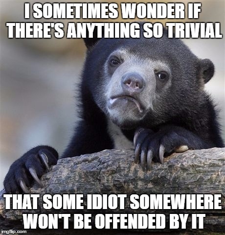 Confession Bear | I SOMETIMES WONDER IF THERE'S ANYTHING SO TRIVIAL; THAT SOME IDIOT SOMEWHERE WON'T BE OFFENDED BY IT | image tagged in memes,confession bear | made w/ Imgflip meme maker