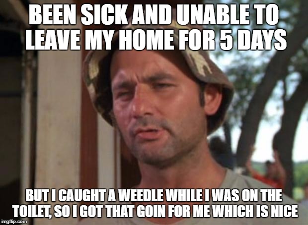 So I Got That Goin For Me Which Is Nice Meme | BEEN SICK AND UNABLE TO LEAVE MY HOME FOR 5 DAYS; BUT I CAUGHT A WEEDLE WHILE I WAS ON THE TOILET, SO I GOT THAT GOIN FOR ME WHICH IS NICE | image tagged in memes,so i got that goin for me which is nice,AdviceAnimals | made w/ Imgflip meme maker