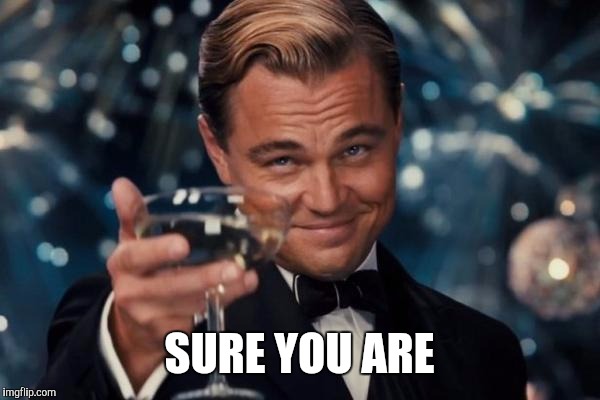 Leonardo Dicaprio Cheers Meme | SURE YOU ARE | image tagged in memes,leonardo dicaprio cheers | made w/ Imgflip meme maker