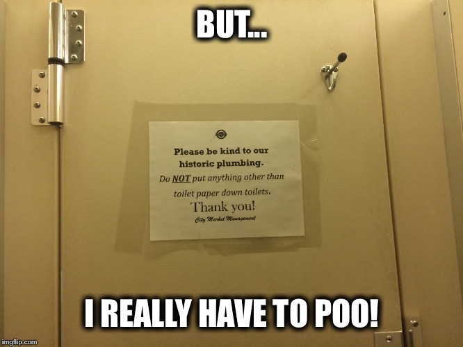 I really do! | BUT... I REALLY HAVE TO POO! | image tagged in bathroom | made w/ Imgflip meme maker