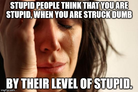 First World Problems Meme | STUPID PEOPLE THINK THAT YOU ARE STUPID, WHEN YOU ARE STRUCK DUMB; BY THEIR LEVEL OF STUPID. | image tagged in memes,first world problems | made w/ Imgflip meme maker