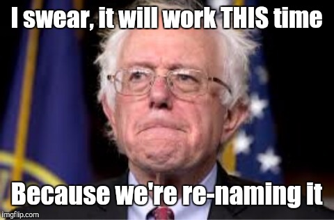 Bernie hair | I swear, it will work THIS time Because we're re-naming it | image tagged in bernie hair | made w/ Imgflip meme maker