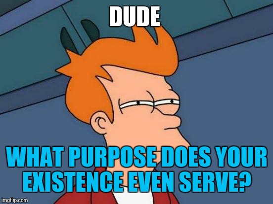 Futurama Fry Meme | DUDE WHAT PURPOSE DOES YOUR EXISTENCE EVEN SERVE? | image tagged in memes,futurama fry | made w/ Imgflip meme maker