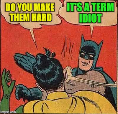 Batman Slapping Robin Meme | DO YOU MAKE THEM HARD IT'S A TERM IDIOT | image tagged in memes,batman slapping robin | made w/ Imgflip meme maker