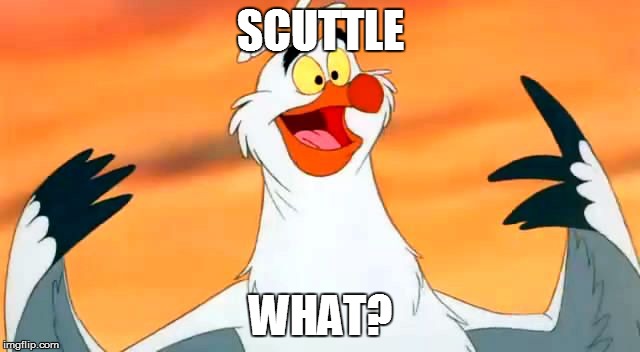 SCUTTLE; WHAT? | made w/ Imgflip meme maker