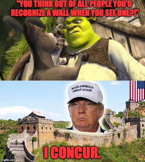 Yeah Shrek, whats up with your lack of recognizing a wall? | "YOU THINK OUT OF ALL PEOPLE YOU'D RECOGNIZE A WALL WHEN YOU SEE ONE?!"; I CONCUR. | image tagged in memes,funny,shrek,donald trump,donald trump approves,lol | made w/ Imgflip meme maker
