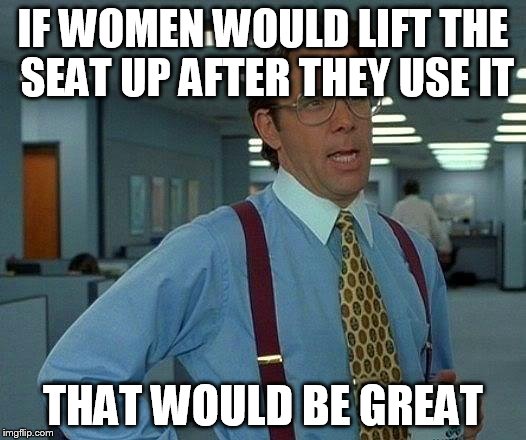 That Would Be Great Meme | IF WOMEN WOULD LIFT THE SEAT UP AFTER THEY USE IT THAT WOULD BE GREAT | image tagged in memes,that would be great | made w/ Imgflip meme maker