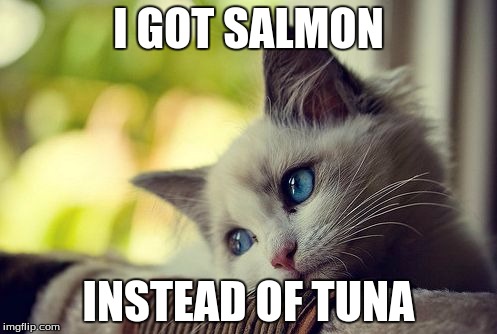 First World Problems Cat | I GOT SALMON; INSTEAD OF TUNA | image tagged in memes,first world problems cat | made w/ Imgflip meme maker