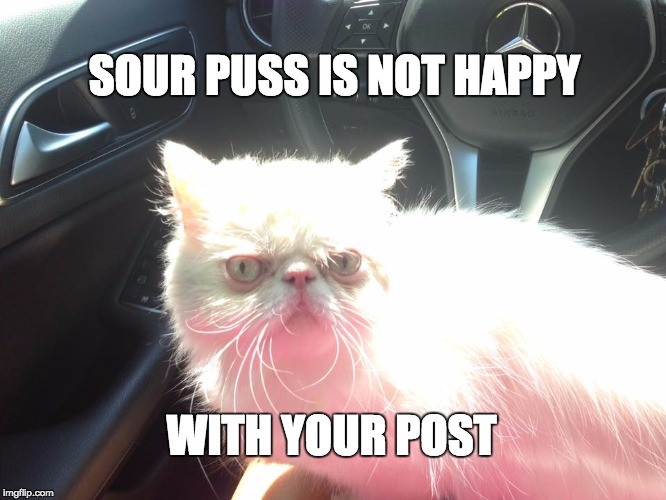 Sour Puss | SOUR PUSS IS NOT HAPPY; WITH YOUR POST | image tagged in cat,grumpy,angry,unhappy | made w/ Imgflip meme maker