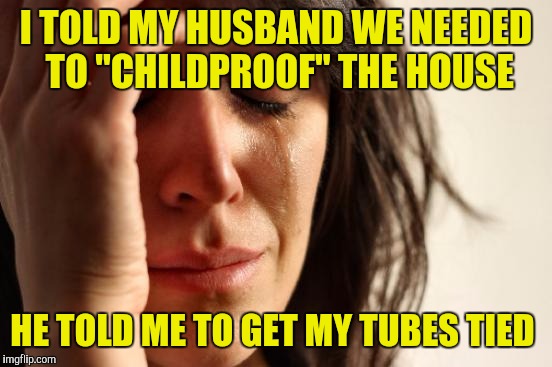 First World Problems | I TOLD MY HUSBAND WE NEEDED TO "CHILDPROOF" THE HOUSE; HE TOLD ME TO GET MY TUBES TIED | image tagged in memes,first world problems | made w/ Imgflip meme maker