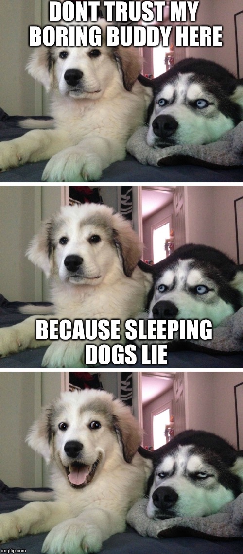 Bad pun dogs | DONT TRUST MY BORING BUDDY HERE; BECAUSE SLEEPING DOGS LIE | image tagged in bad pun dogs | made w/ Imgflip meme maker