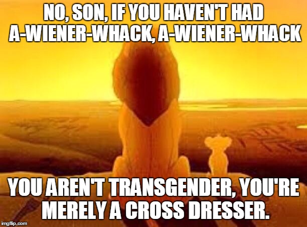 Pats vs Lions | NO, SON, IF YOU HAVEN'T HAD A-WIENER-WHACK, A-WIENER-WHACK; YOU AREN'T TRANSGENDER, YOU'RE MERELY A CROSS DRESSER. | image tagged in pats vs lions | made w/ Imgflip meme maker