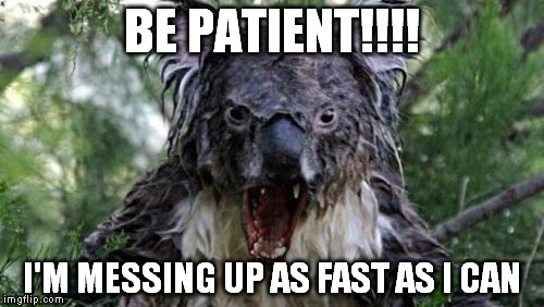 Angry Koala Meme | BE PATIENT!!!! I'M MESSING UP AS FAST AS I CAN | image tagged in memes,angry koala | made w/ Imgflip meme maker