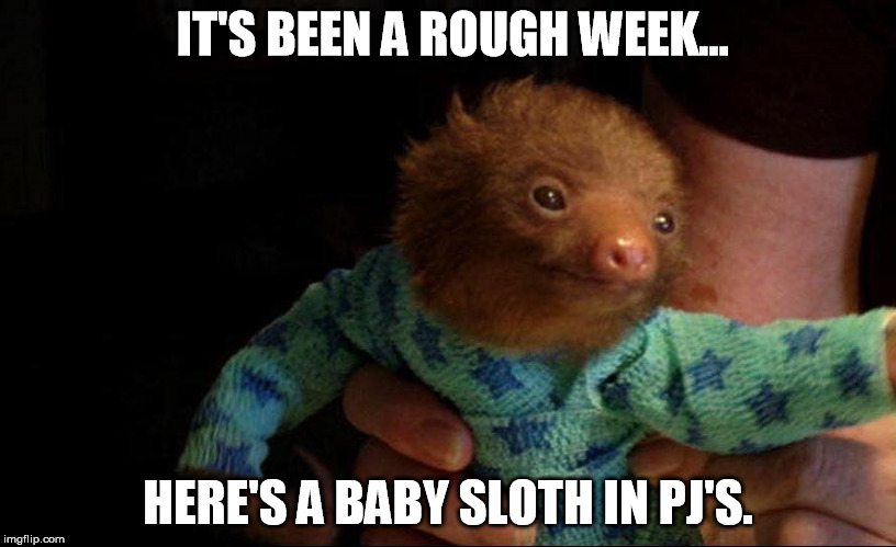 Baby Sloth Cure | IT'S BEEN A ROUGH WEEK... HERE'S A BABY SLOTH IN PJ'S. | image tagged in sloth,baby,rough,week | made w/ Imgflip meme maker