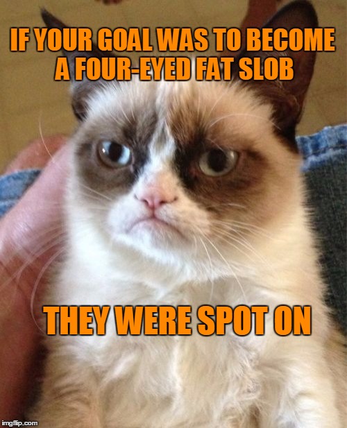 Grumpy Cat Meme | IF YOUR GOAL WAS TO BECOME A FOUR-EYED FAT SLOB THEY WERE SPOT ON | image tagged in memes,grumpy cat | made w/ Imgflip meme maker