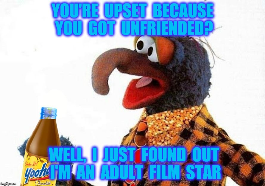 Gon Jeremy | YOU'RE  UPSET  BECAUSE  YOU  GOT  UNFRIENDED? WELL,  I  JUST  FOUND  OUT  I'M  AN  ADULT  FILM  STAR | image tagged in unfriended,facebook,gonzo,muppets,porn,funny memes | made w/ Imgflip meme maker