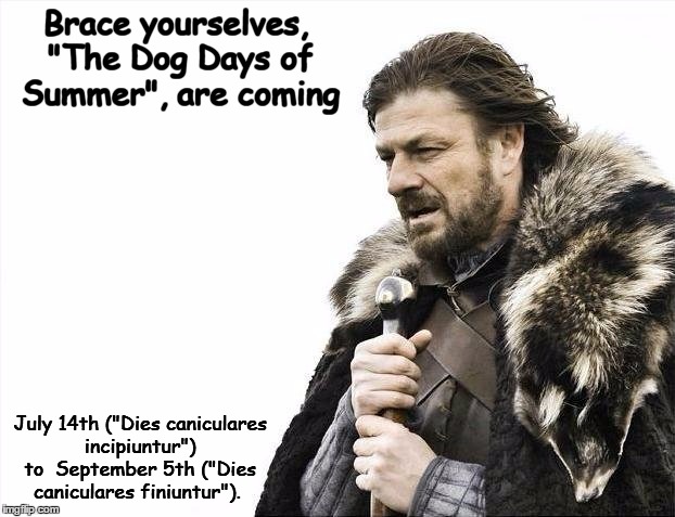 Brace Yourselves X is Coming | Brace yourselves, "The Dog Days of Summer", are coming; July 14th ("Dies caniculares incipiuntur") to  September 5th ("Dies caniculares finiuntur"). | image tagged in memes,brace yourselves x is coming | made w/ Imgflip meme maker