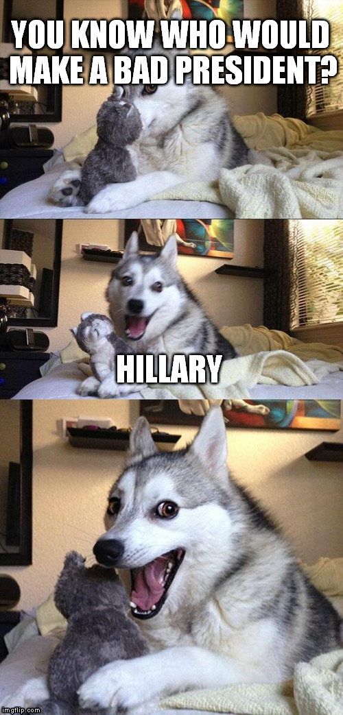 Hillary | YOU KNOW WHO WOULD MAKE A BAD PRESIDENT? HILLARY | image tagged in memes,bad pun dog | made w/ Imgflip meme maker