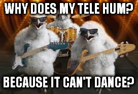 Chicken Musicians | WHY DOES MY TELE HUM? BECAUSE IT CAN'T DANCE? | image tagged in chicken musicians | made w/ Imgflip meme maker