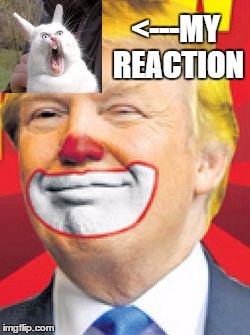 Donald Trump the Clown | <---MY REACTION | image tagged in donald trump the clown | made w/ Imgflip meme maker